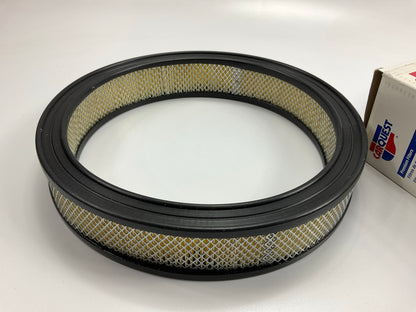 Carquest 87077 Engine Air Filter - Replaces WIX 42077