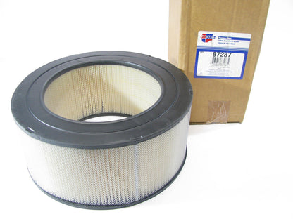 Carquest 87287 Air Filter Replaces CA3325 42287 A23139 LAF965 AF587 AF965 PA2483