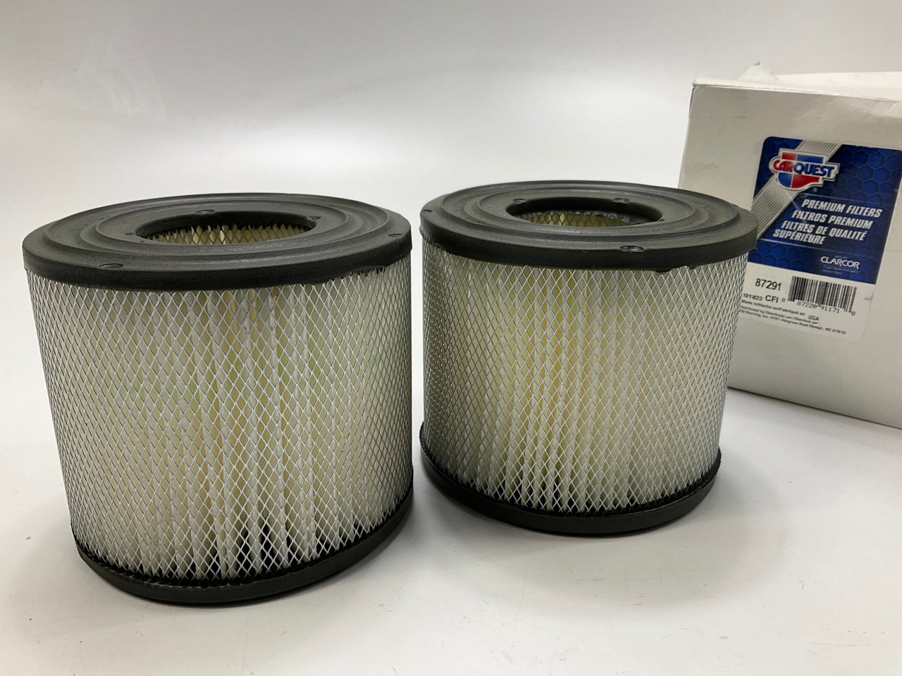 (2) Carquest 87291 Air Filter Replaces CA10983 390930 393957 AF4574 P606290