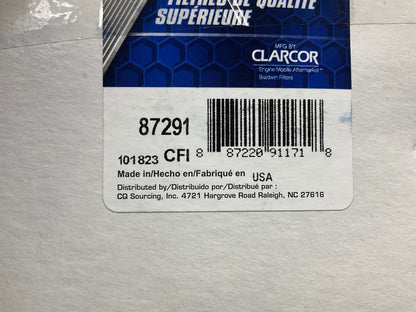 (2) Carquest 87291 Air Filter Replaces CA10983 390930 393957 AF4574 P606290