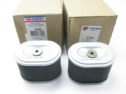 (2) Carquest 87323 Air Filter Replaces 42323 2323 LAF22025 AF2434 AF25472 PA4820