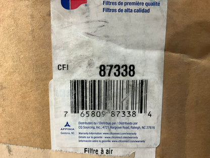 Carquest 87338 Air Filter - Replaces WIX 42338, DONALDSON P181054, PA3989FN