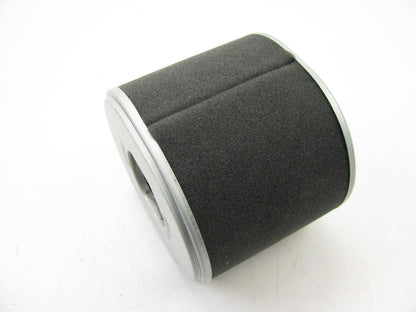 Carquest 87443 Air Filter Replaces: 42443 2443 AF2422 P607254 PA3957 AF25474