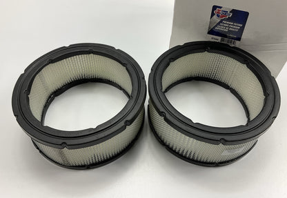 (2) Carquest 87444 Air Filter Replace CA8507 42444 LAF5802 PA3901 P607255 PA3901