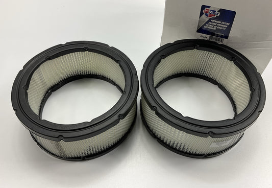 (2) Carquest 87444 Air Filter Replace CA8507 42444 LAF5802 PA3901 P607255 PA3901