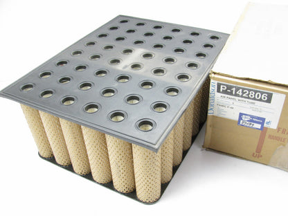 Carquest 87589 Air Filter Replaces: 42589 A32194 AF166 AF459 P142806 PA1783