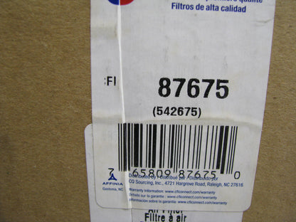 Carquest 87675 Air Filter Replaces 42675 AF3019 CA1534SY PA2368 AF422 LAF416AM