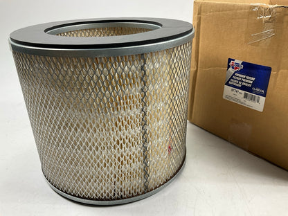 Carquest 87741 Air Filter Replaces PA1663, 42741, CA249, P539484, 9303543