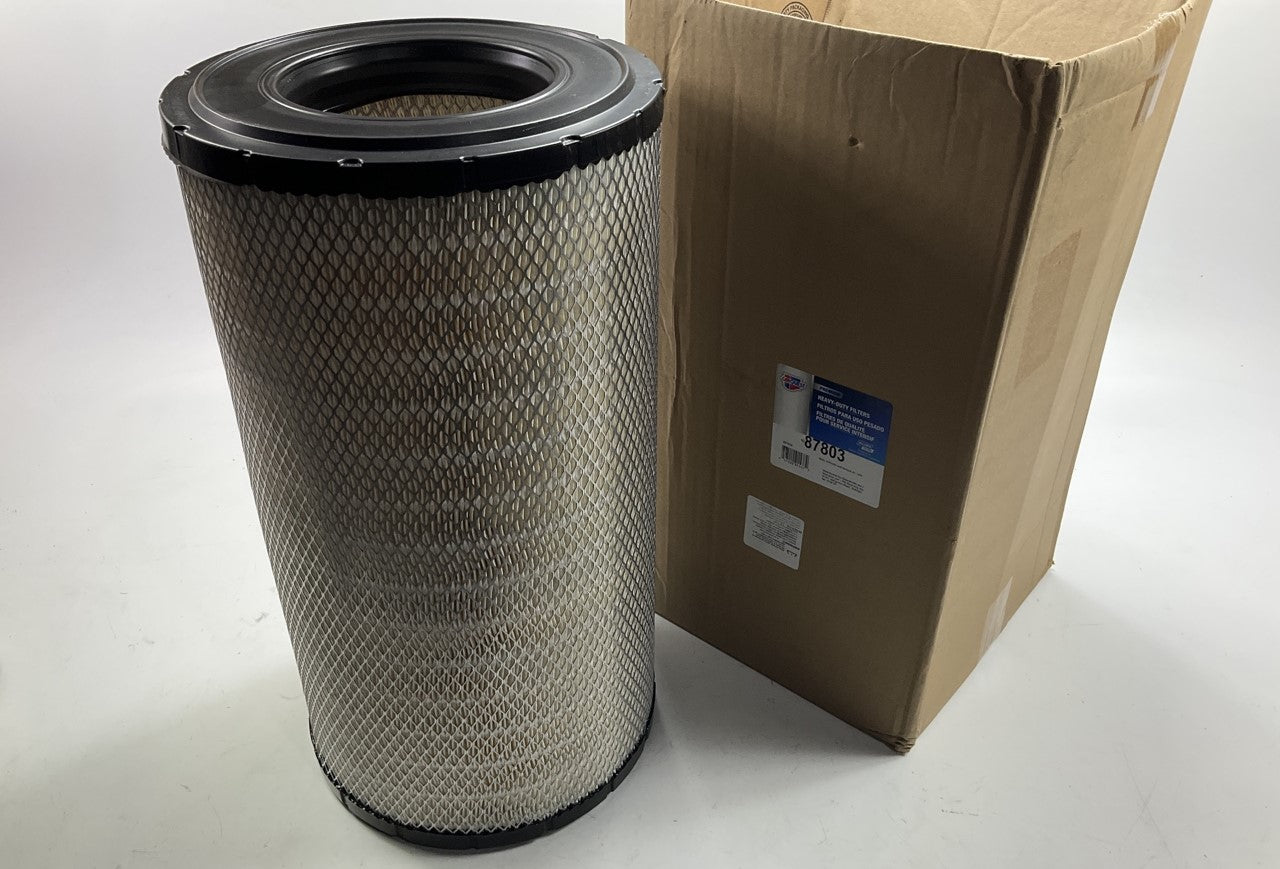 Carquest 87803 Air Filter Replace 11110022, P537876, AT175223, AT223226 RS3744