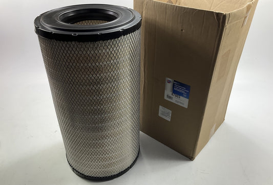 Carquest 87803 Air Filter Replace 11110022, P537876, AT175223, AT223226 RS3744