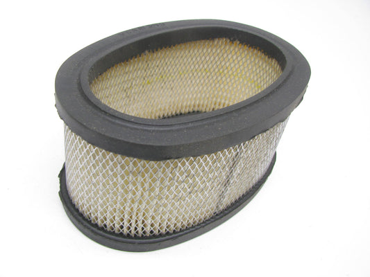 Carquest 88177 Air Filter Replaces Briggs & Stratton 393725