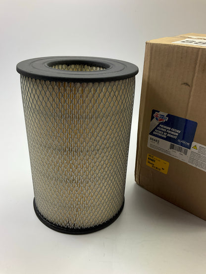 Carquest 88482 Air Filter - Replaces PA3894, P610485, AF25647, PA3894, 46482