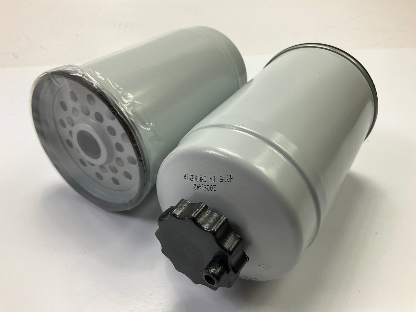 (2) Carquest 96556 Fuel Filter Replaces Ford 6164913, 844F-9176-CAB