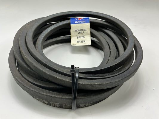 Carquest BP255 Industrial Accessory Drive Belt - 21/32'' X 258''