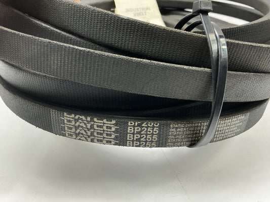 Carquest BP255 Industrial Accessory Drive Belt - 21/32'' X 258''