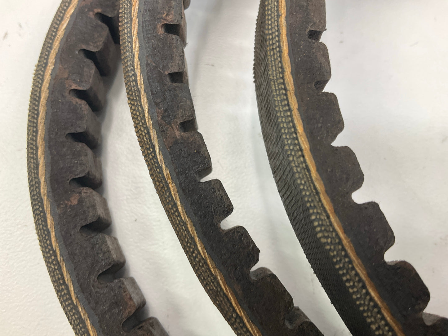 Carquest BX64 Cogged Industrial Accessory Drive Belt, 21/32'' X 67''