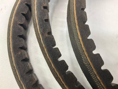 Carquest BX64 Cogged Industrial Accessory Drive Belt, 21/32'' X 67''