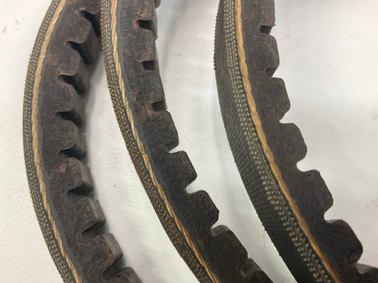 Carquest BX64 Cogged Industrial Accessory Drive Belt, 21/32'' X 67''