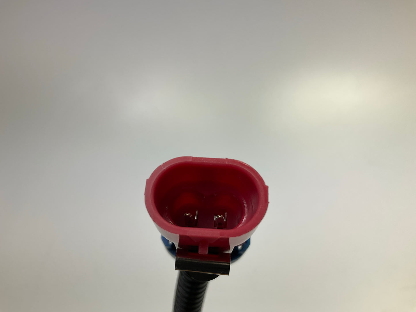 Carquest CPP1005 Vapor Canister Purge Valve