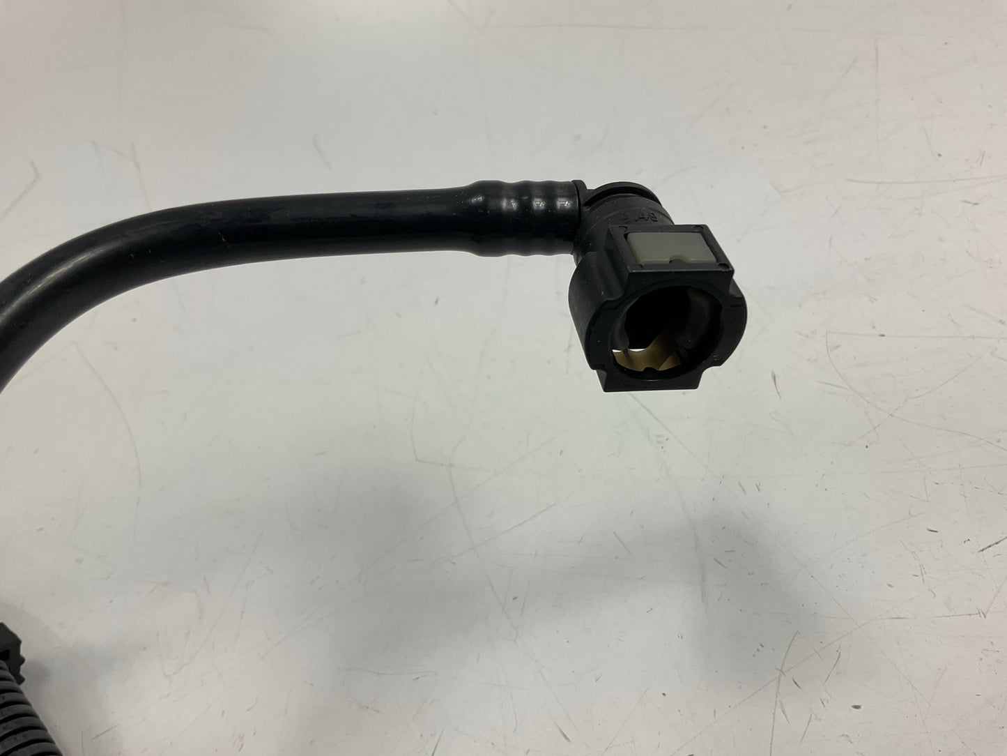 Carquest M219669 Fuel Pump Module