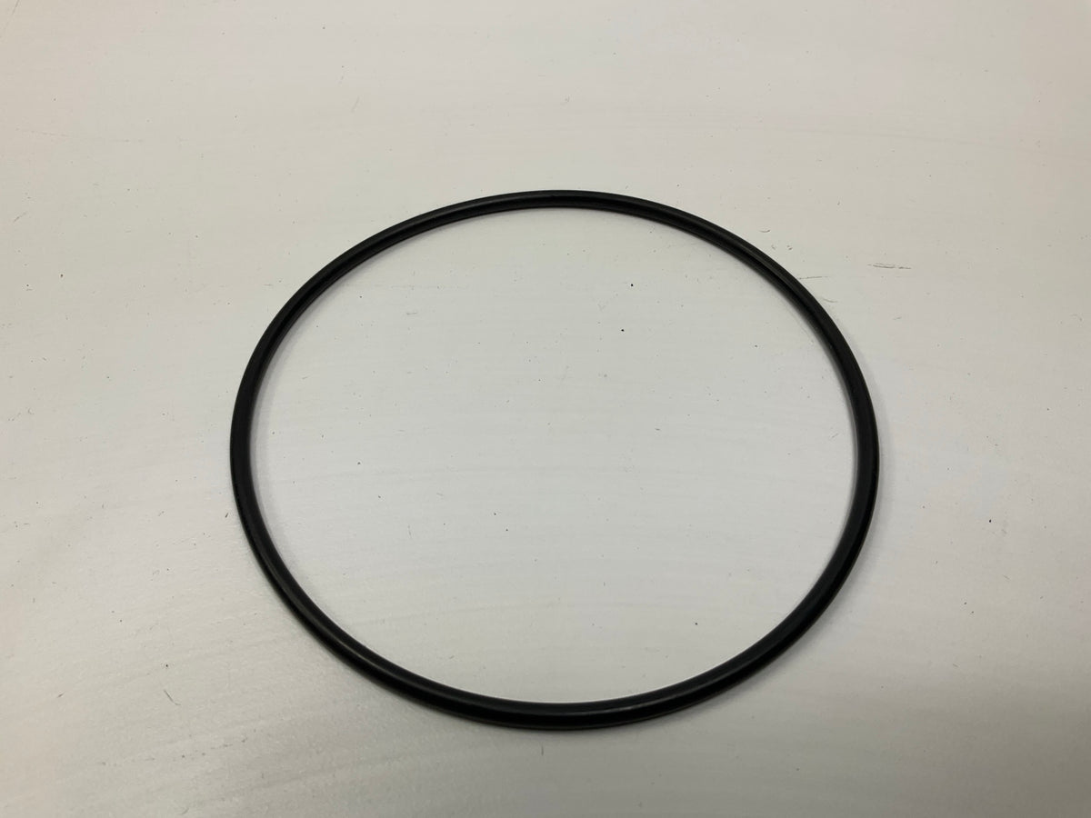 Carquest R86255 Fuel Filter
