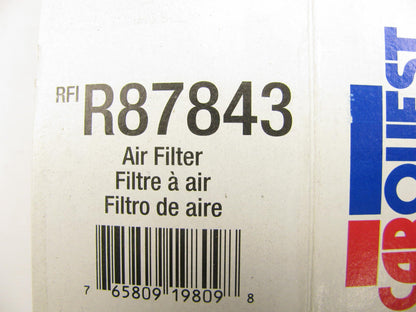 Carquest R87843 Air Filter Replaces: 42843 PA35560 AF3904 AF1298F P614545