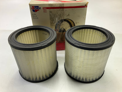(2) Carquest R88234 Engine Air Filter