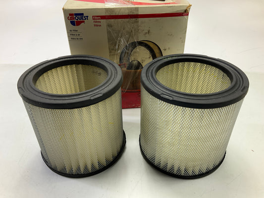 (2) Carquest R88234 Engine Air Filter