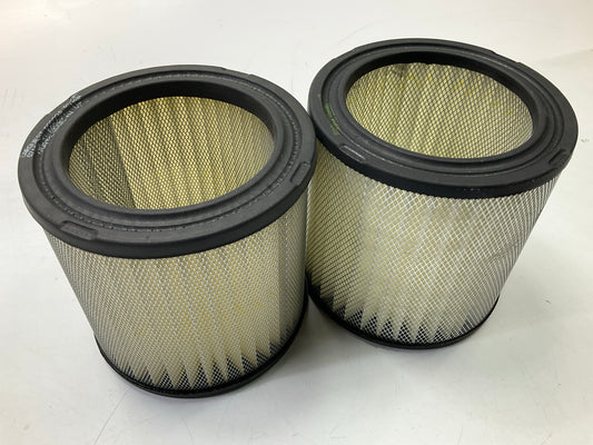 (2) Carquest R88234 Engine Air Filter