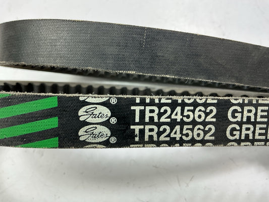 Carquest TR24562 Truck & Bus Accessory Drive Belt