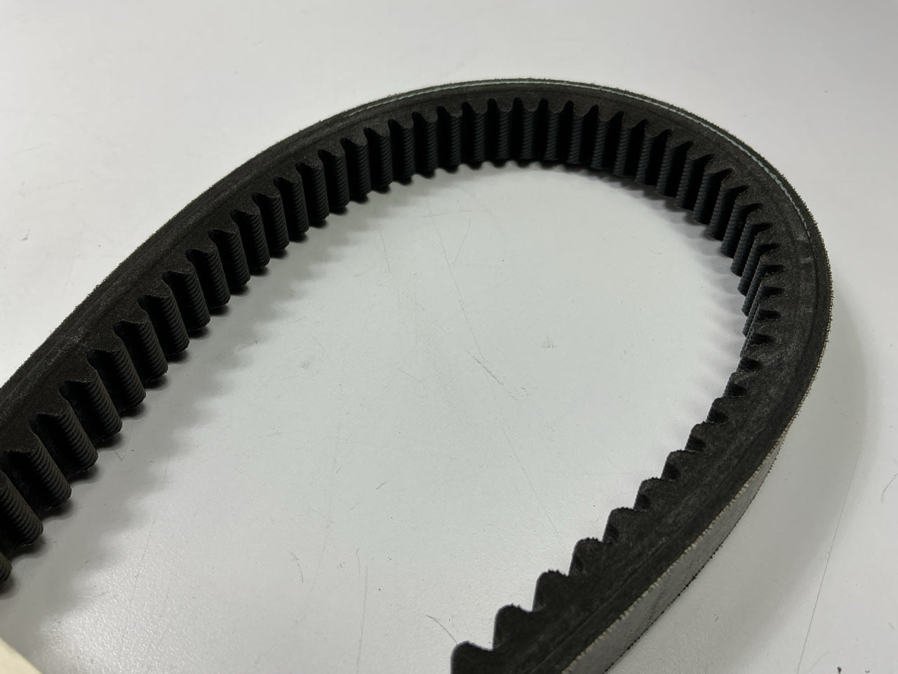 Carquest TR28406 Truck & Bus Accessory Drive Belt
