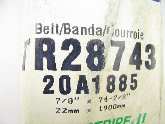 Carquest TR28743 Truck & Bus Accessory Drive Belt - 0.875'' X 48.00'' - 38 Degree