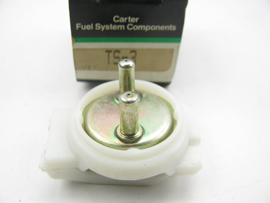 Carter TS3 Air Cleaner Temperature Sensor (Air Charge Sensor)