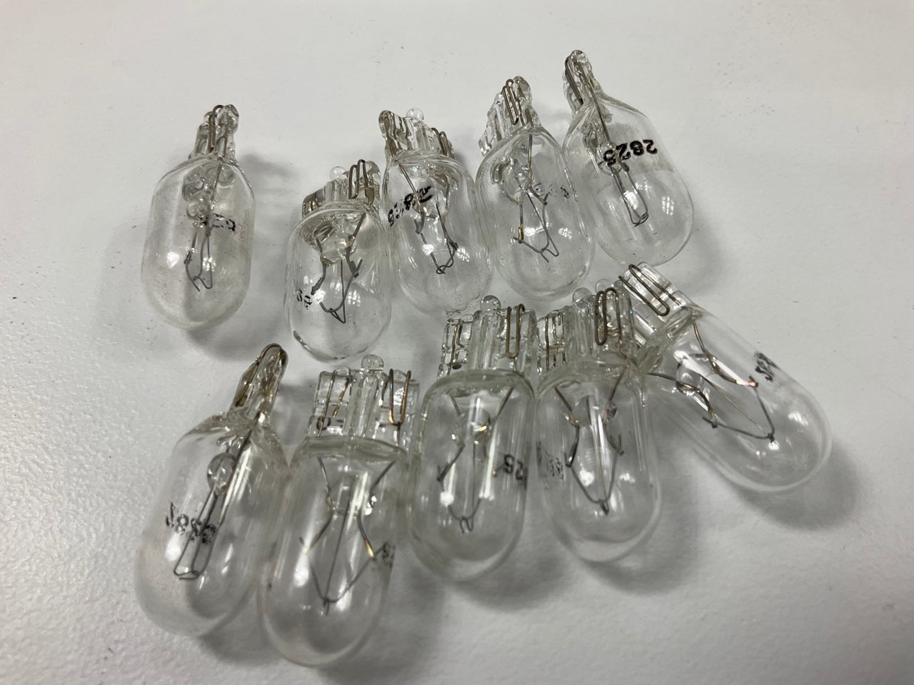 (10) Champion 17177 Interior Reading Bulb / License Plate Light Bulbs