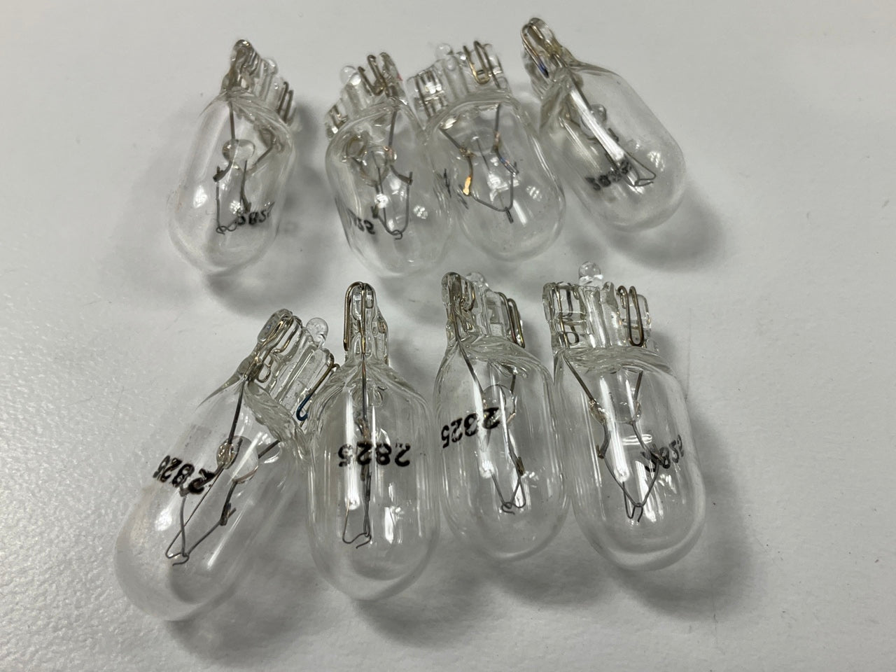 (8) Champion 17177 Interior Reading Bulb / License Plate Light Bulbs