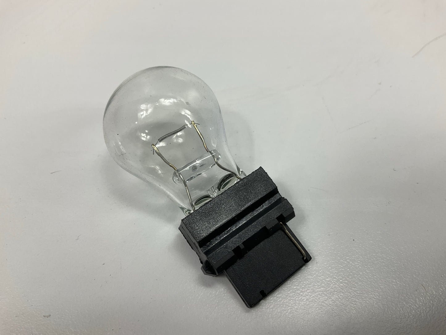 (7) Champion 3156 Back Up Light Lamp Bulb