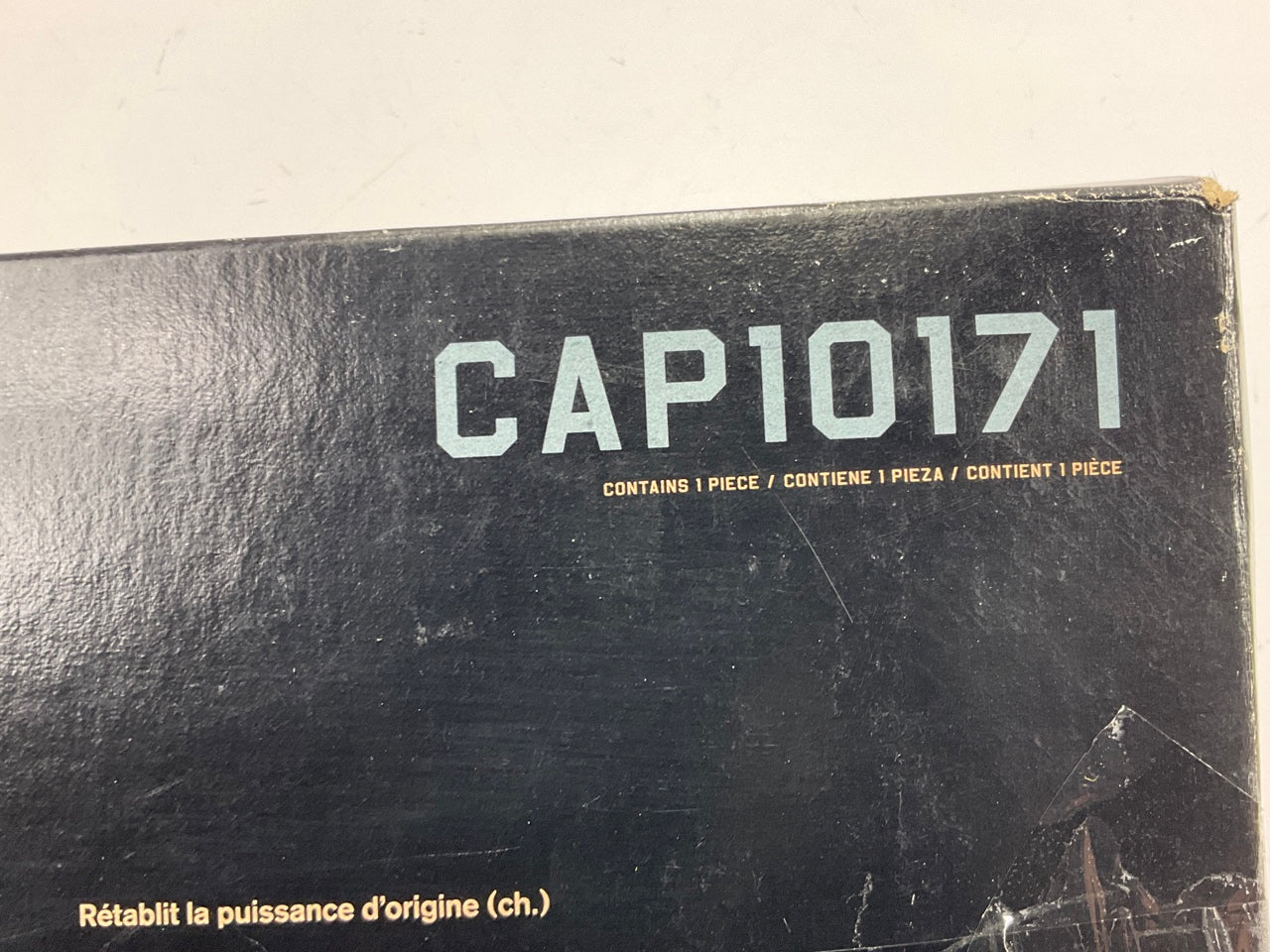 Champion CAP10171 Engine Air Filter
