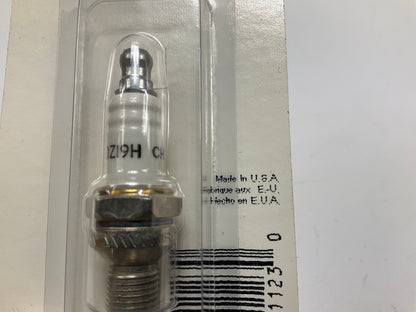 (2) Champion RDZ19H / 940-1 Small Engine Spark Plugs