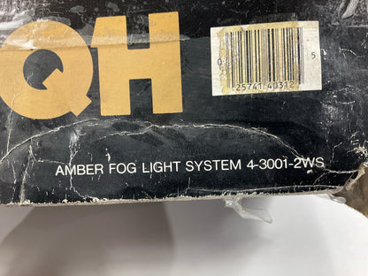 Vintage Chieftain 4-3001-2WS Amber Fog Light Lamp Kit