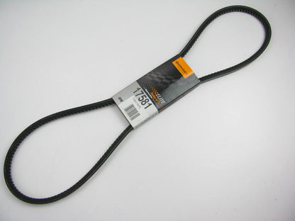 Continental 17581 Accessory Drive Belt - 0.53'' X 57.875'' - 36 Degree