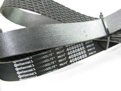 Continental 4080855 Serpentine Belt