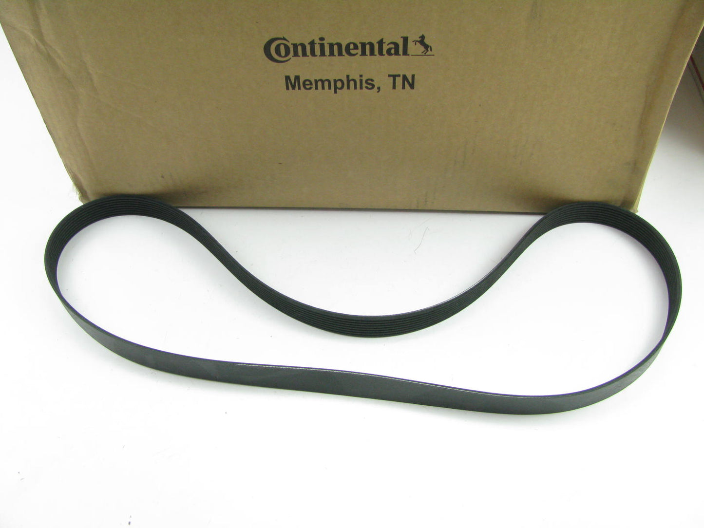 Continental 622K8 Serpentine Belt - 1.12'' X 92.95'' - 8 Ribs