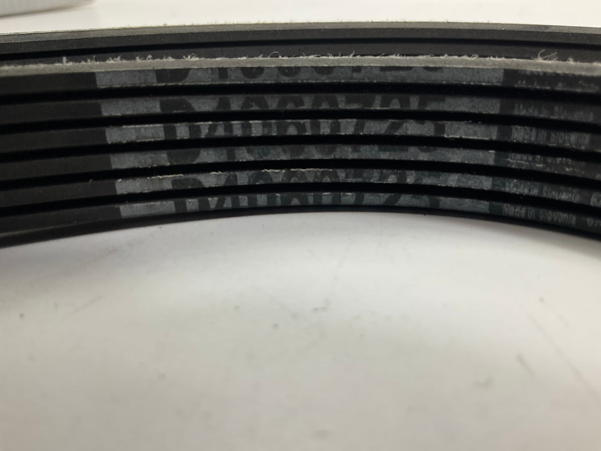 Continental D060725 Serpentine Belt