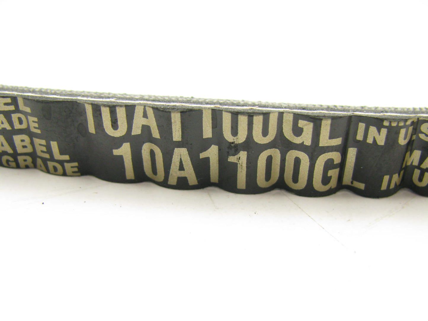 Dayco 10A1100GL Accessory Drive Belt - 10mm X 1100mm - 36 Degree