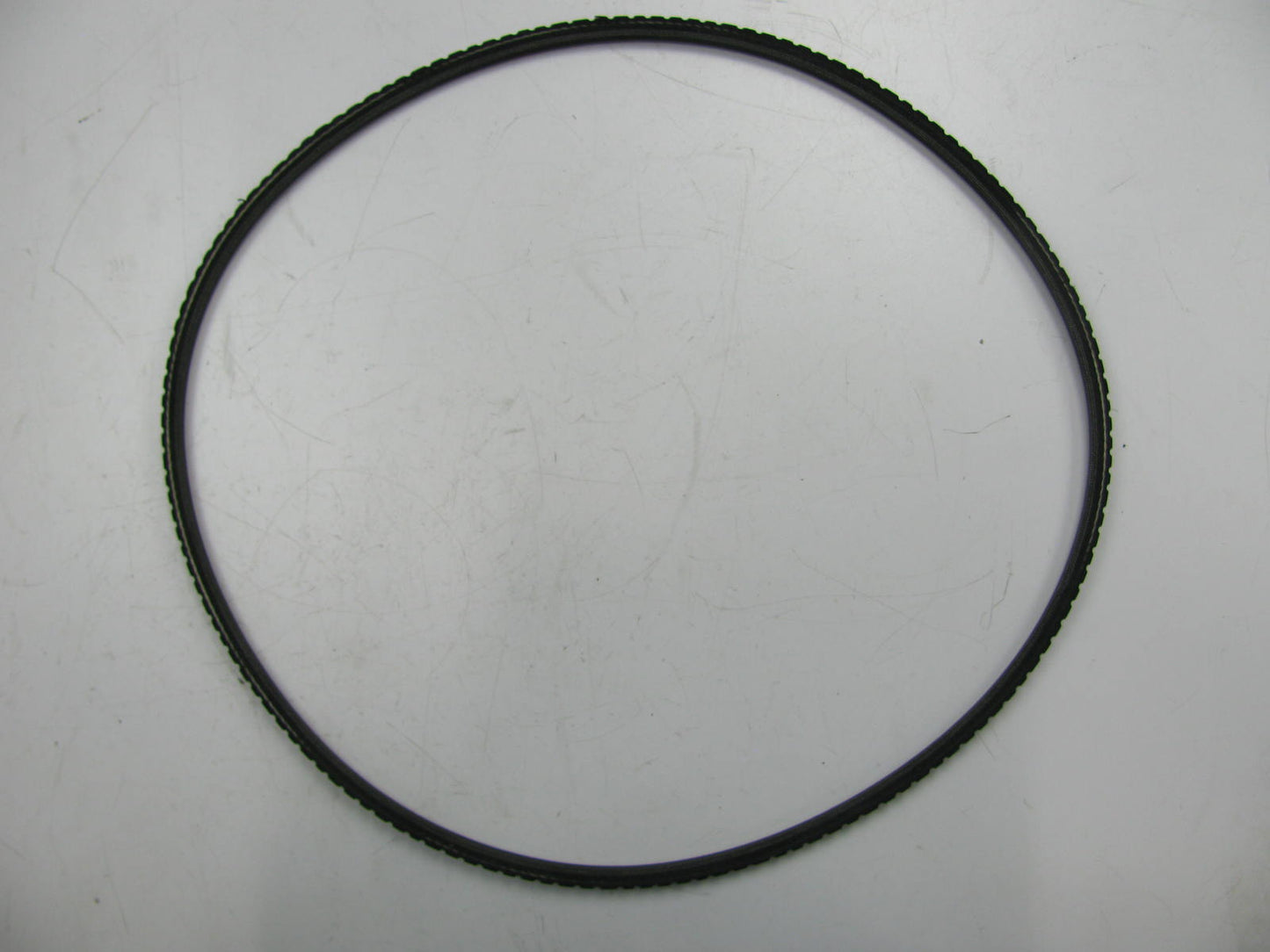 Dayco 10A1175GL Accessory Drive Belt - 10mm X 1175mm - 36 Degree