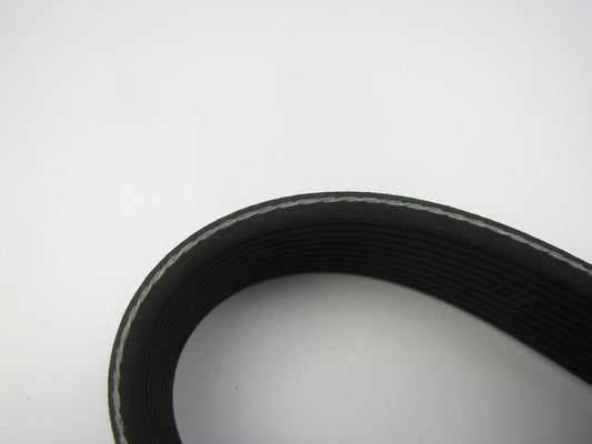Dayco 10PK1620 Serpentine Belt - 36mm X 1620mm - 10 Ribs