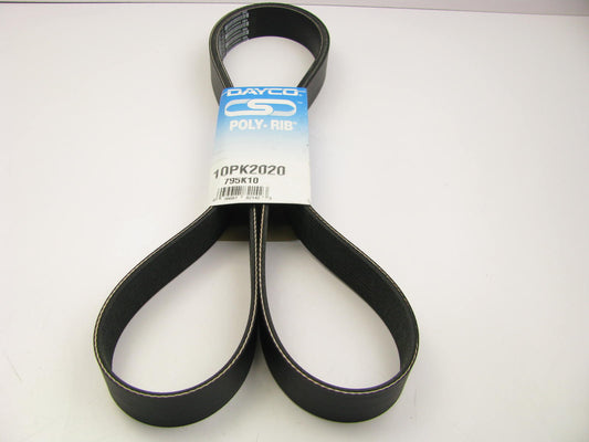 Dayco 10PK2020 Serpentine Belt - 36mm X 2020mm - 10 Ribs