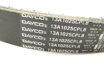 Dayco 13A1025CPLB Accessory Drive Belt - 0.53'' X 40.625'' - 36 Degree
