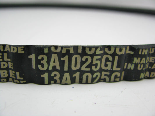Dayco 13A1025GL Accessory Drive Belt - 13mm X 1025mm - 36 Degree