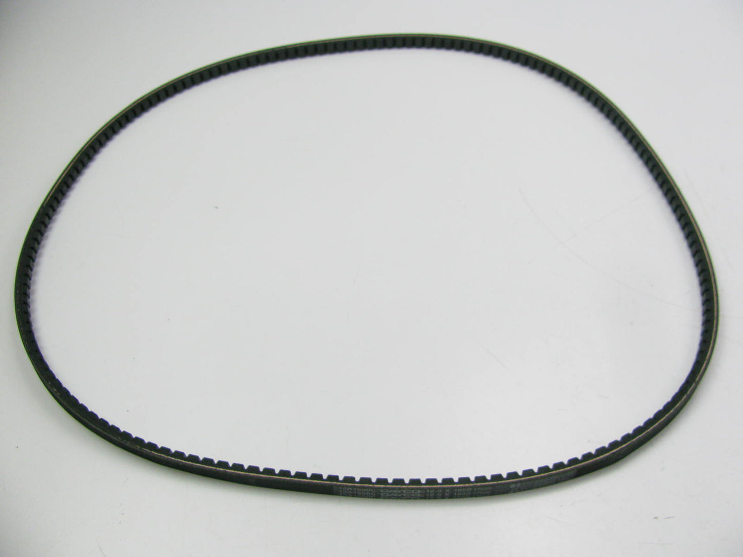 Dayco 13A1650C Accessory Drive Belt - 13mm X 1650mm - 36 Degree